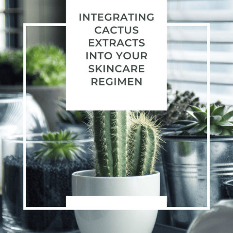 Integrating Cactus Extracts into Your Skincare Regimen