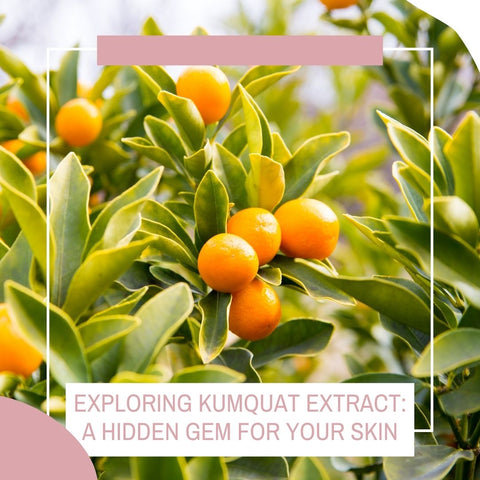 Exploring Kumquat Extract: A Hidden Gem for Your Skin