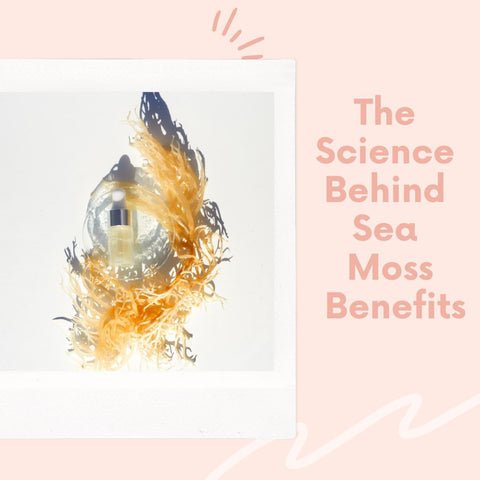 The Science Behind Sea Moss Benefits