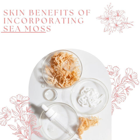Skin Benefits of Incorporating Sea Moss