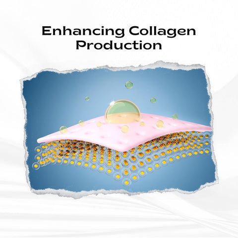 Enhancing Collagen Production