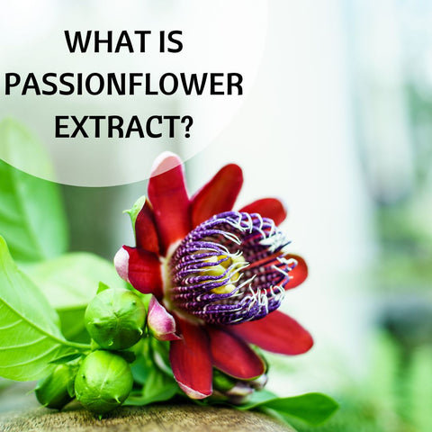 What is Passionflower Extract?
