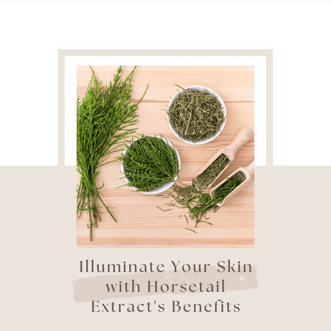 Illuminate Your Skin with Horsetail Extract's Benefits