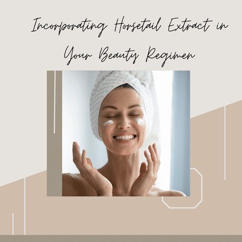 Incorporating Horsetail Extract in Your Beauty Regimen