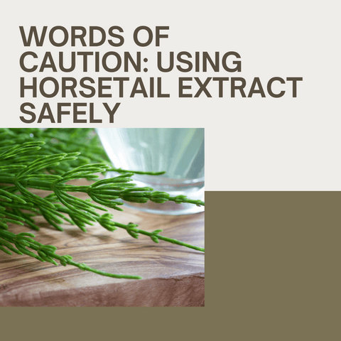 Words of Caution: Using Horsetail Extract Safely