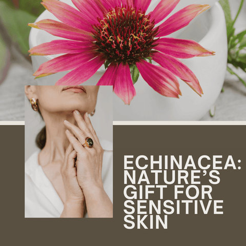 Echinacea: Nature’s Gift for Sensitive Skin