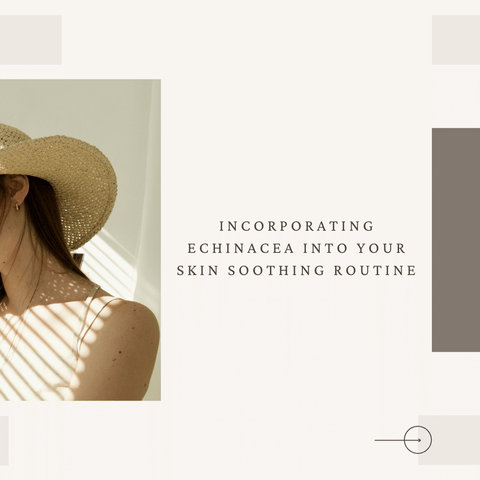 Incorporating Echinacea into Your Skin Soothing Routine