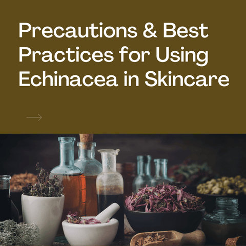 Precautions & Best Practices for Using Echinacea in Skincare