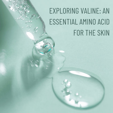 Exploring Valine: An Essential Amino Acid for the Skin