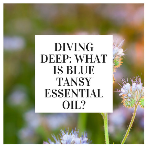 Diving Deep: What is Blue Tansy Essential Oil?