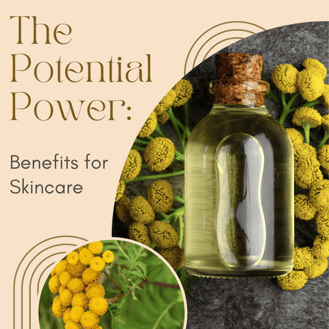 The Potential Power: Benefits for Skincare