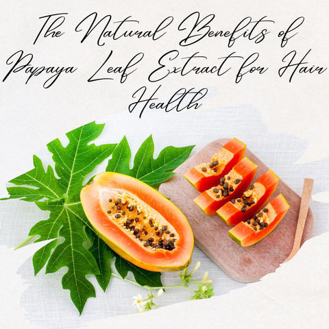 The Natural Benefits of Papaya Leaf Extract for Hair Health