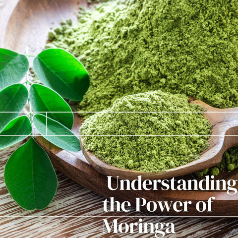 Understanding the Power of Moringa