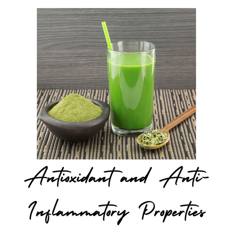 Antioxidant and Anti-Inflammatory Properties