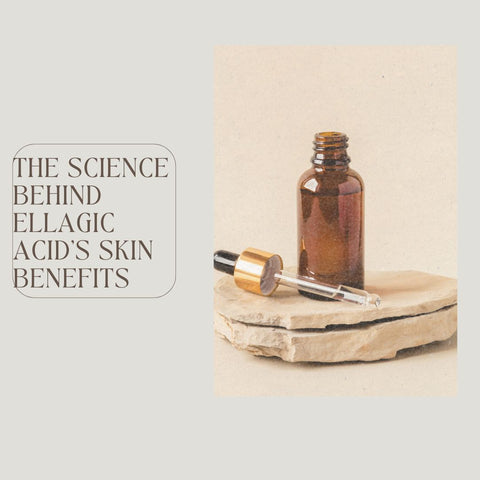 The Science Behind Ellagic Acid's Skin Benefits