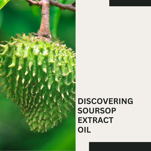 Discovering Soursop Extract Oil