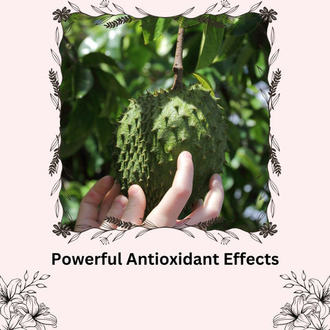 Powerful Antioxidant Effects