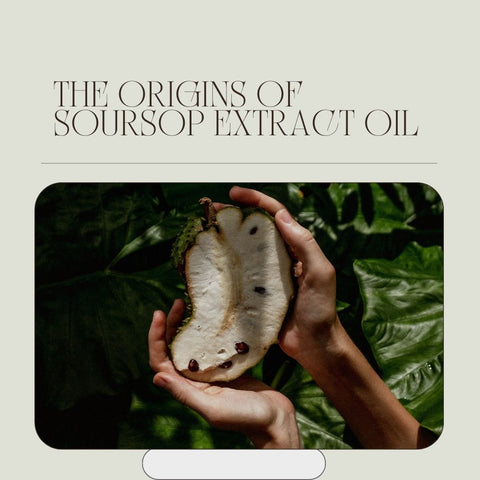 The Origins of Soursop Extract Oil