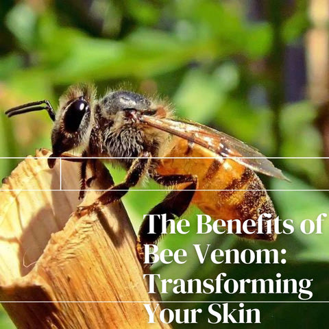 The Benefits of Bee Venom: Transforming Your Skin