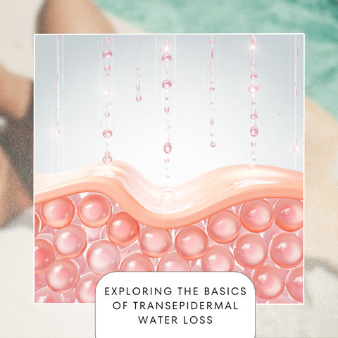 Exploring the Basics of Transepidermal Water Loss