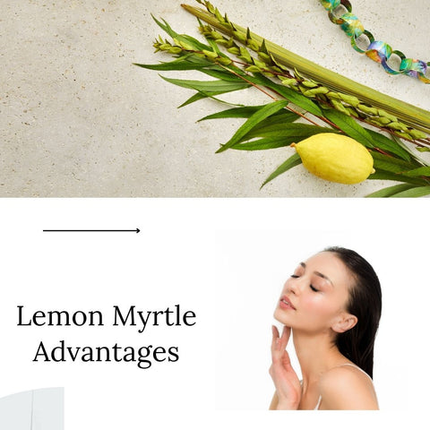 Lemon Myrtle Advantages