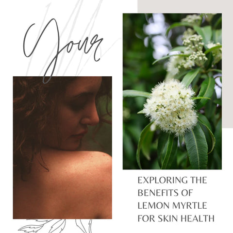Exploring the Benefits of Lemon Myrtle for Skin Health