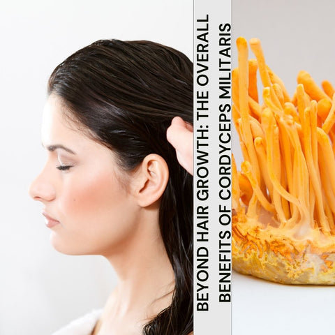 Beyond Hair Growth: The Overall Benefits of Cordyceps Militaris