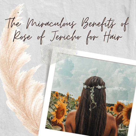 The Miraculous Benefits of Rose of Jericho for Hair