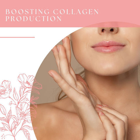 Boosting Collagen Production