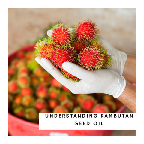 Understanding Rambutan Seed Oil