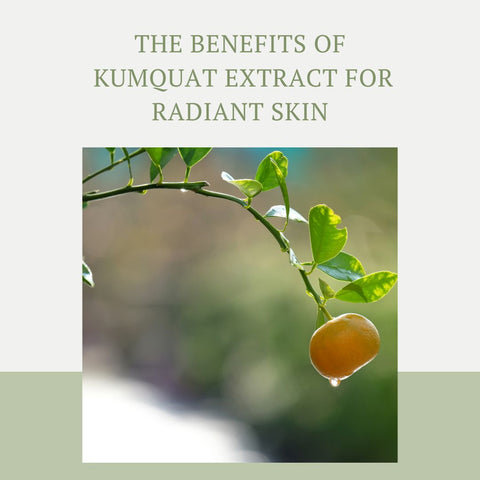 The Benefits of Kumquat Extract for Radiant Skin