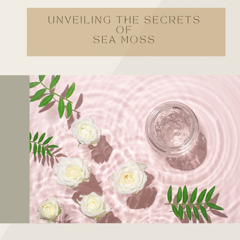 Unveiling the Secrets of Sea Moss