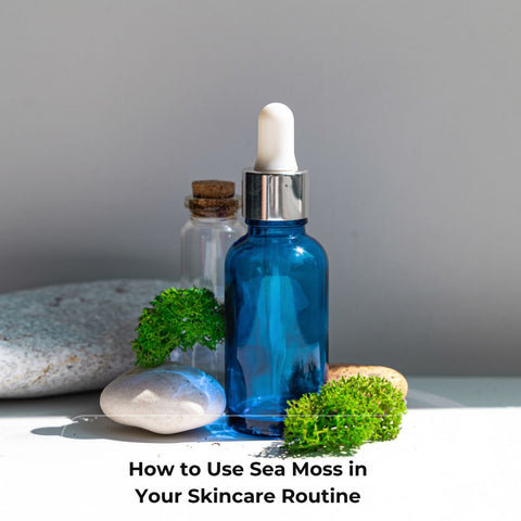 How to Use Sea Moss in Your Skincare Routine