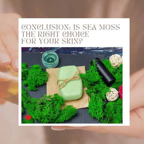 Conclusion: Is Sea Moss the Right Choice for Your Skin?