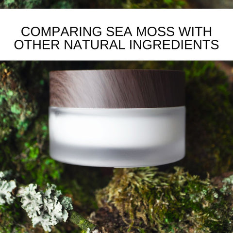 Comparing Sea Moss with Other Natural Ingredients