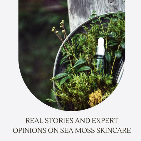 Real Stories and Expert Opinions on Sea Moss Skincare