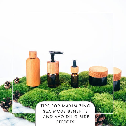 Tips for Maximizing Sea Moss Benefits and Avoiding Side Effects