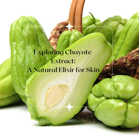 Exploring Chayote Extract: A Natural Elixir for Skin
