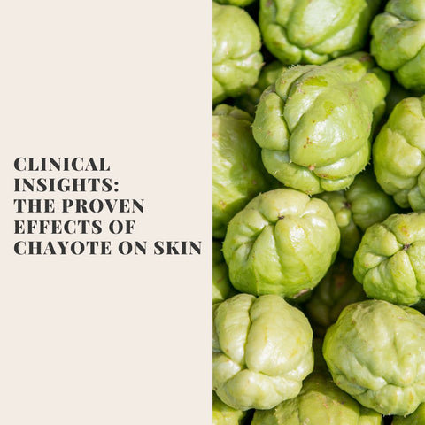 Clinical Insights: The Proven Effects of Chayote on Skin