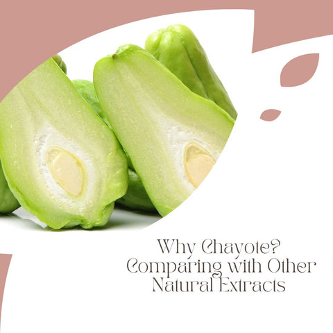 Why Chayote? Comparing with Other Natural Extracts
