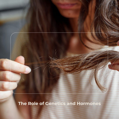 The Role of Genetics and Hormones