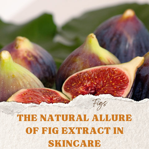 The Natural Allure of Fig Extract in Skincare