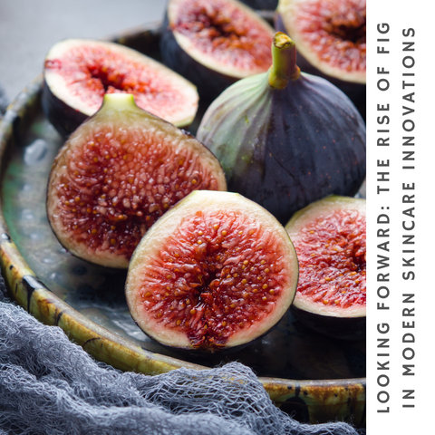 Looking Forward: The Rise of Fig in Modern Skincare Innovations