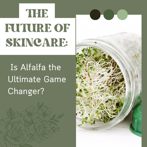 The Future of Skincare: Is Alfalfa the Ultimate Game Changer?