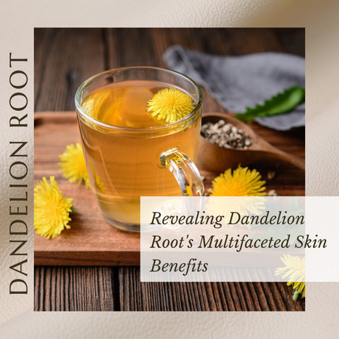 Revealing Dandelion Root's Multifaceted Skin Benefits