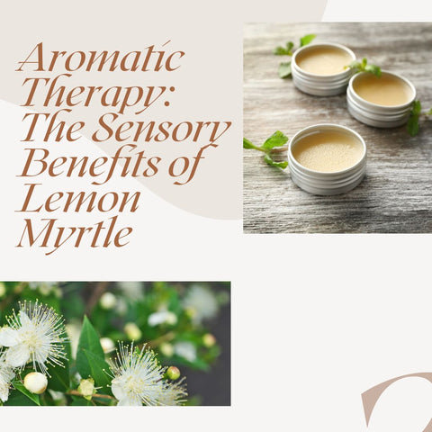 Aromatic Therapy: The Sensory Benefits of Lemon Myrtle