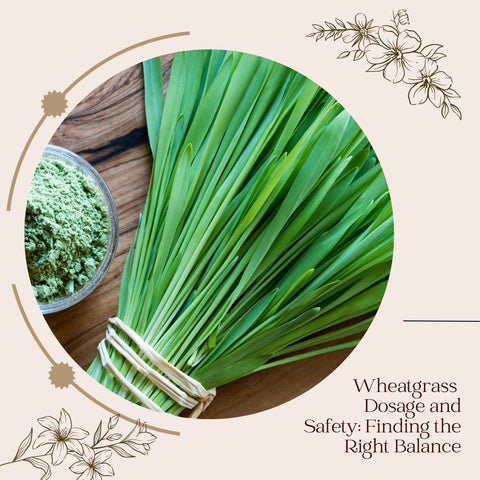 Wheatgrass Dosage and Safety: Finding the Right Balance