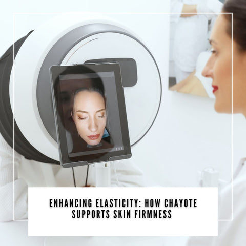 Enhancing Elasticity: How Chayote Supports Skin Firmness