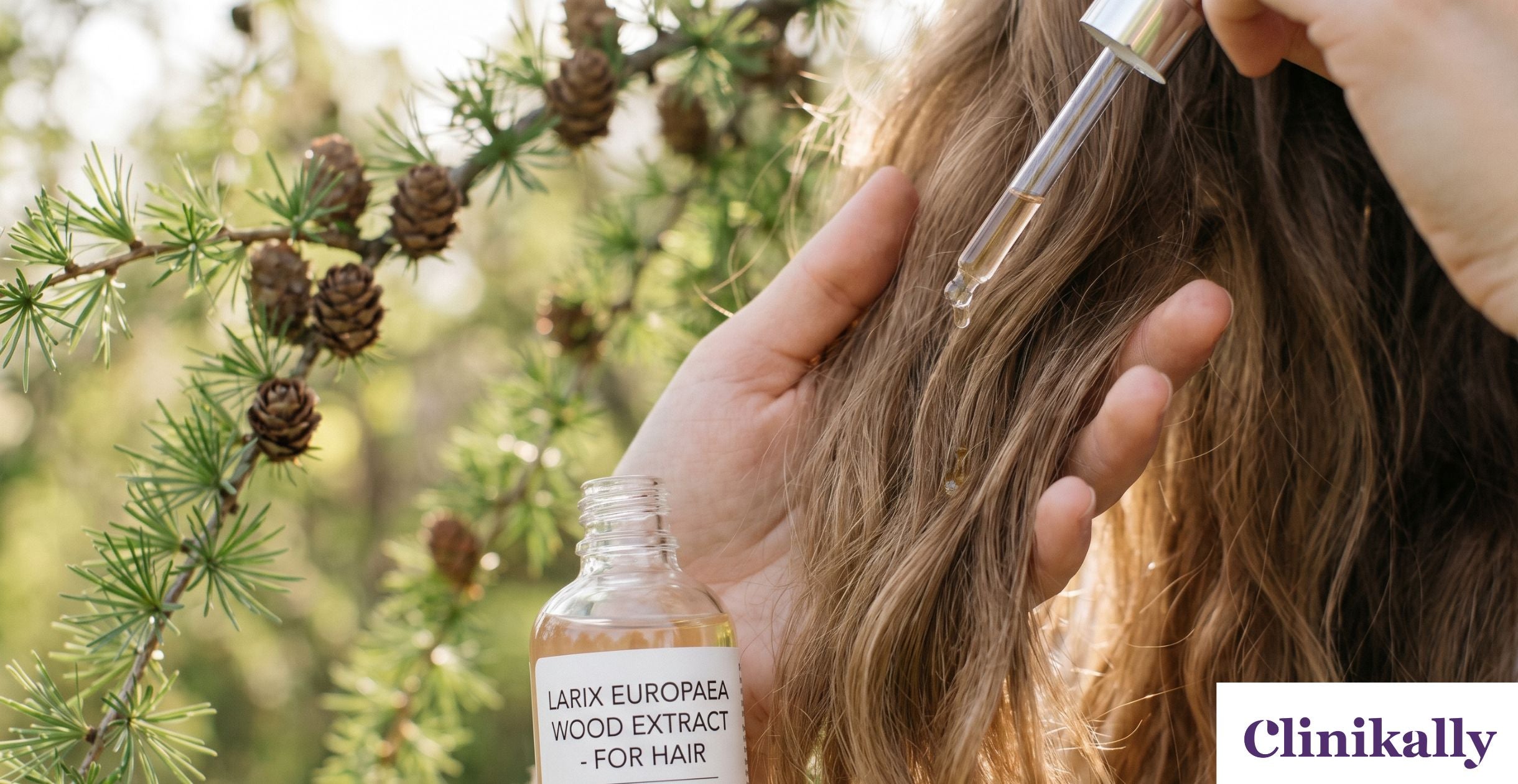 Is Larix Europaea Wood Extract Good for Dry and Damaged Hair?