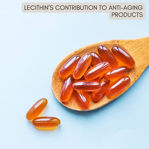 Lecithin’s Contribution to Anti-Aging Products